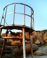 ���e�ҁFshima