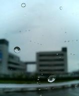 ���e�ҁFshima